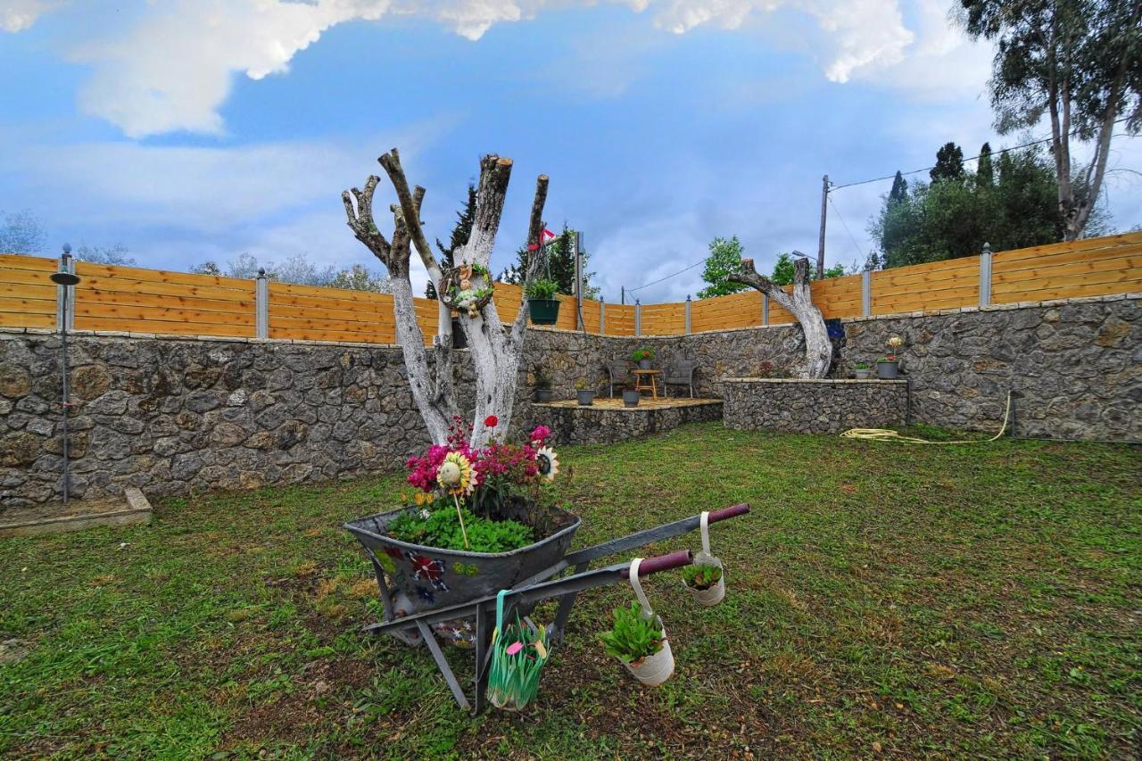 Villa Zoi بيليكاس المظهر الخارجي الصورة